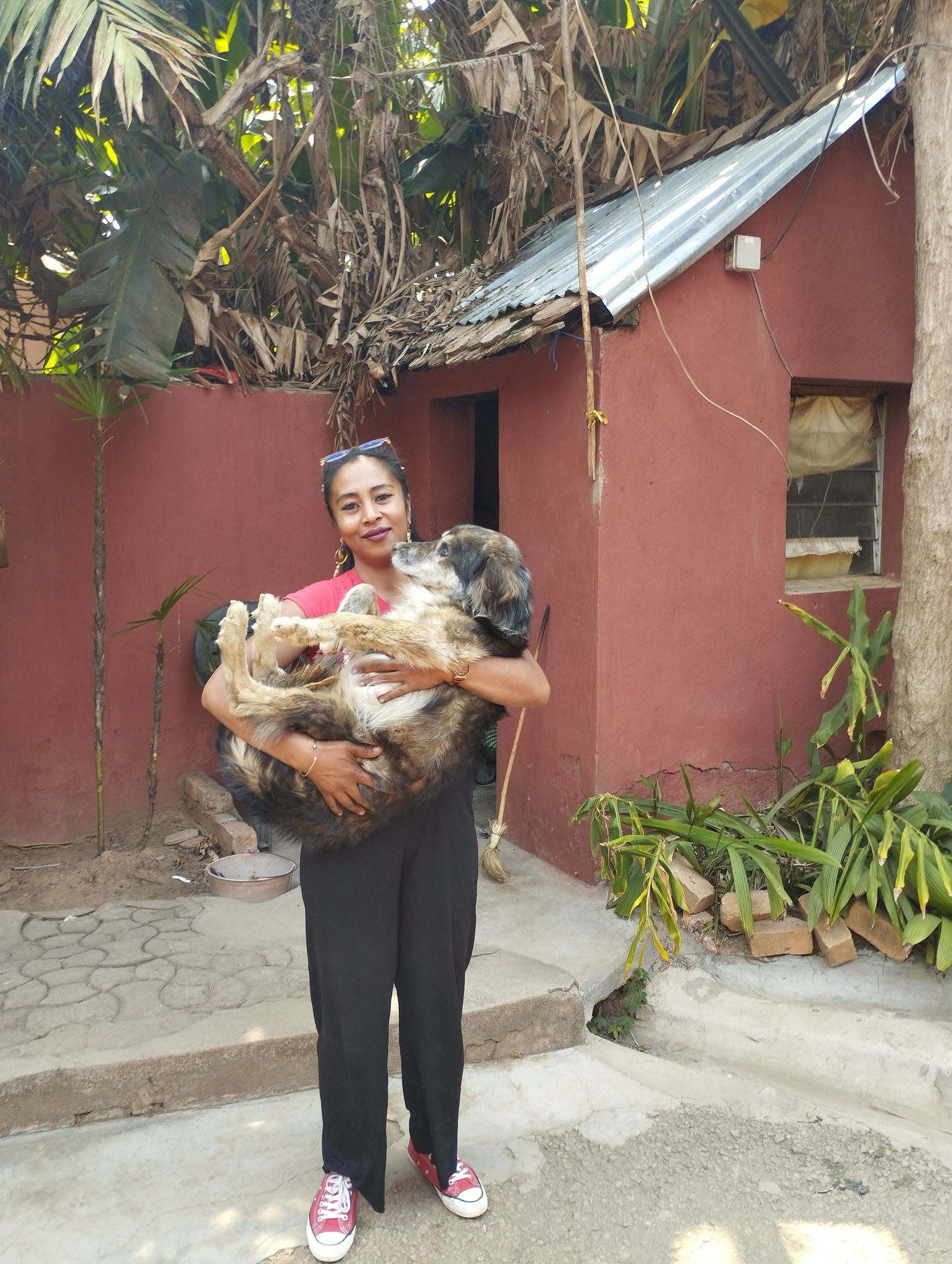 Dina et les chiens