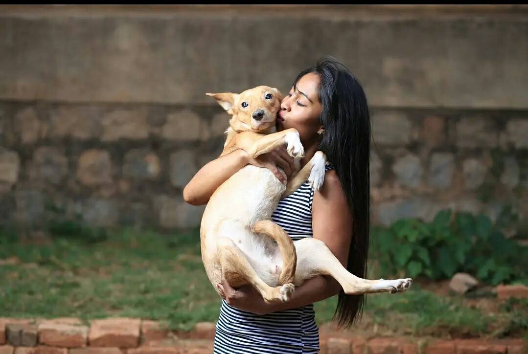 Chiens heureux et protégés au Petit Refuge Aure Madagascar